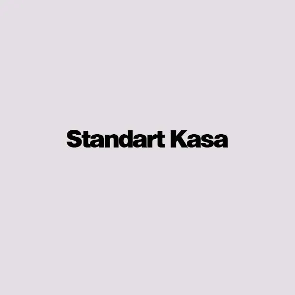 STANDART KASA TAKIM